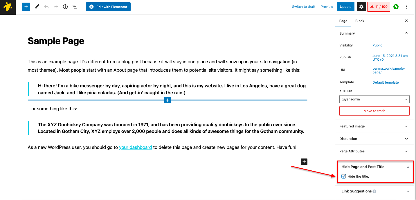 how to hide page title in wordpress